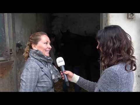 Monument Duindigt en de UAE President Cup