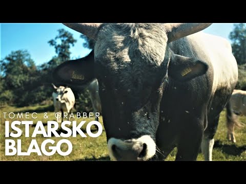 Istarsko blago - Tomec & Grabber feat. Tamara Obrovac & Tone "Livi" Vitasović (OFFICIAL VIDEO)