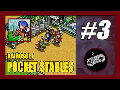 Win Pumpkin Match | Pocket Stables Gameplay Walkthrough (Android) Part 3 - YouTube