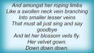 15351 Nick Cave - Say Goodbye To The Little Girl Tree Lyrics
