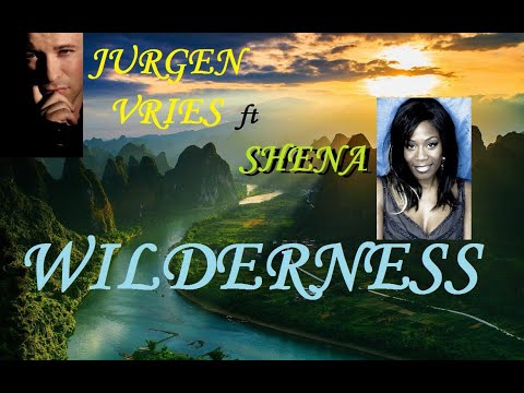 JURGEN VRIES ft SHENA - WILDERNESS  #JurgenVries, #Shena, #DarrenTate, #Wilderness, #Trance, #Armada