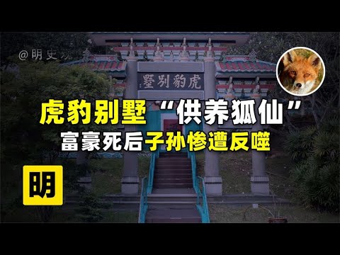 狐 風水