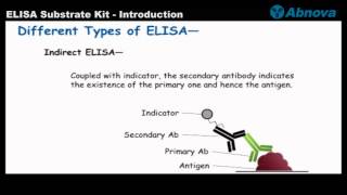 ELISA Substrate Kit - Introduction