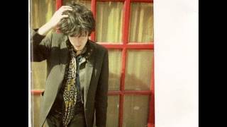 Nikki Sudden - Still full of shocks