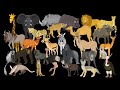 African Animals The Kids Picture Show Fun Educational Learning Video