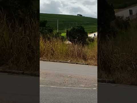 Trevo de ibateguara BR 104