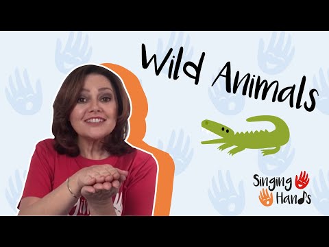 Makaton Topic - WILD ANIMALS - Singing Hands