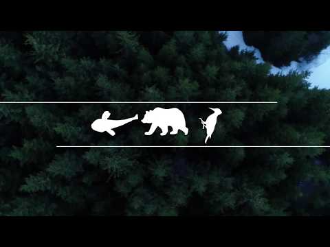 Ember és Természet – Kárpáti gőte, Tarajos gőte, Sárgahasú unka