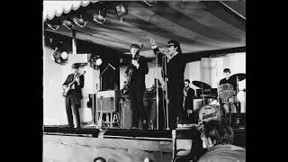 The Animals - I'm Mad Again