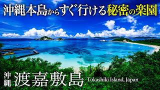 【本当は教えたくない】沖縄の優等生！渡嘉敷島ひとり旅はグルメもポテンシャルも人生最高すぎた！おすすめ穴場スポット【沖縄・渡嘉敷島・秘境・離島・旅行・観光】Tokashiki Island, Japan