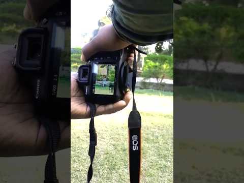 Live Portrait Photography with 1300d and 55-250mm lens #shorts #short #youtubeshorts #viral #trend