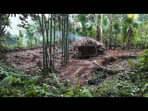 Soil improvement, treatment and cultivation | LIVING OFF THE GRID | Episode 25