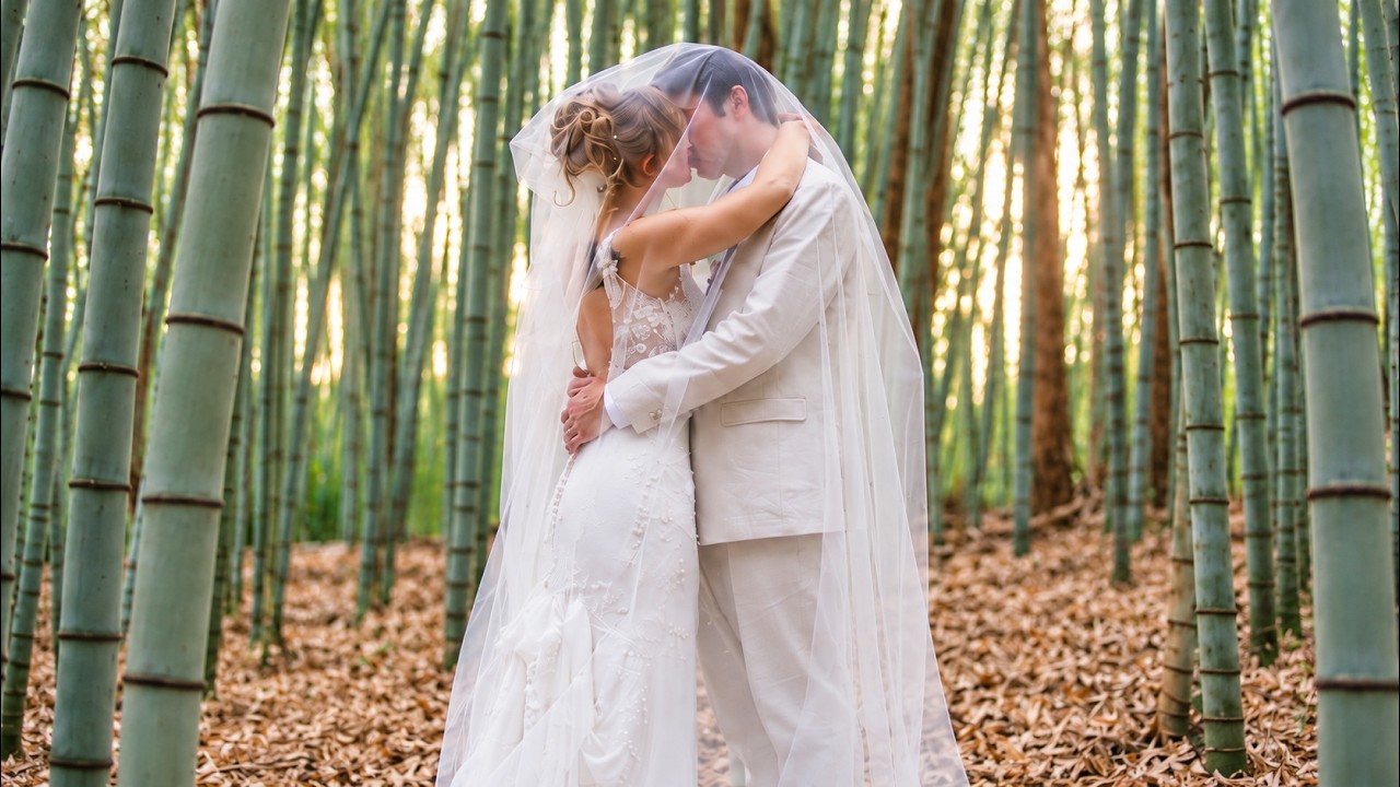 Anna and Connor | Wedding Highlight