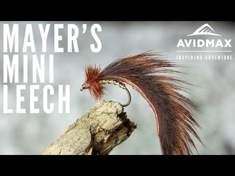 How to tie Mayer's Mini Leech | AvidMax Fly Tying Tuesday Tutorials