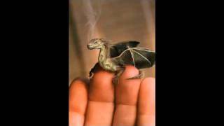 Scott Bell - THE DRAGON (Vangelis cover)