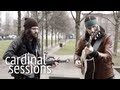 The Avett Brothers - Laundry Room - CARDINAL ...