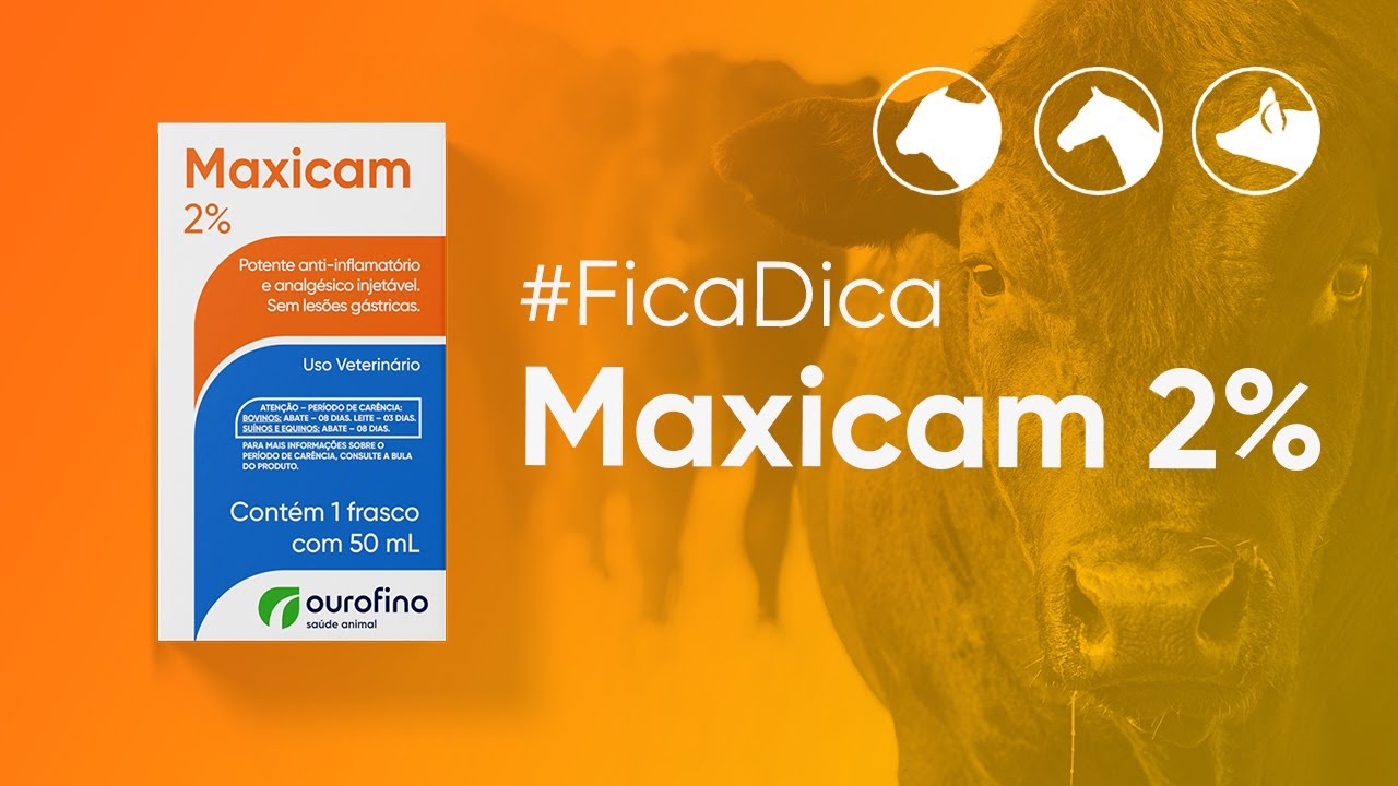 #FicaDica: Maxicam 2%