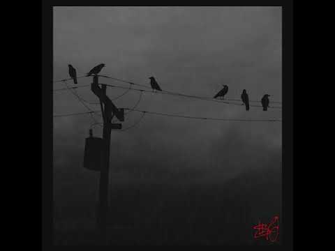 IV x $40   Tavim zaide jis