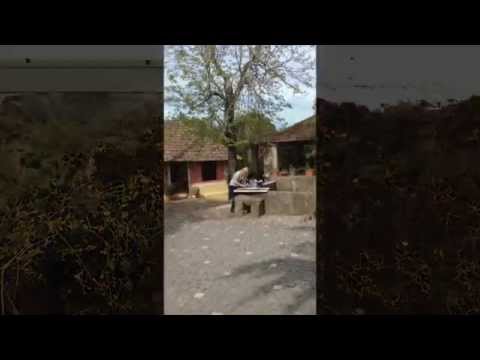 MARIA EMAUZ - Talking to MARIA EMAUZ | 2015