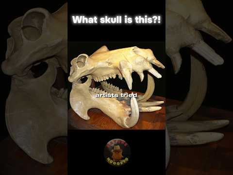 Artists recreate animals from skeletons #creepy #animals #animalshorts #nature #dinosaur