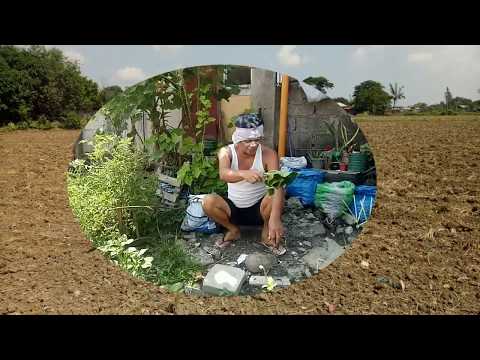 Managtambal Ya Peke (Pangasinan Song) | Gusting Tamayo