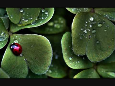 Deee Lite - Stay in bed forget the rest