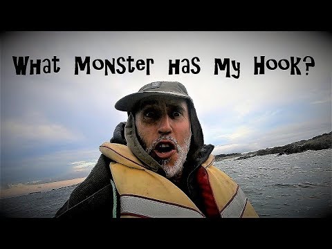 Kayak fishing in the Chatham's. (WARNING - F Bombs)