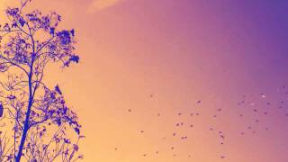 Die Verbannten Kinder Evas-  Carving Dreams