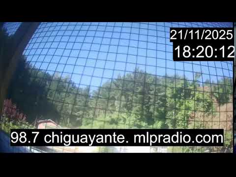 Chiguayante Bio Bio Chile, en Vivo. Live Cam, Camara en vivo.