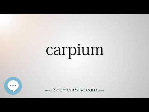 carpium