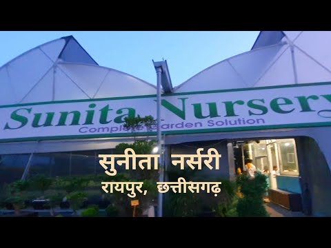 Sunita Nursery Raipur | Largest nursery in chhattisgarh