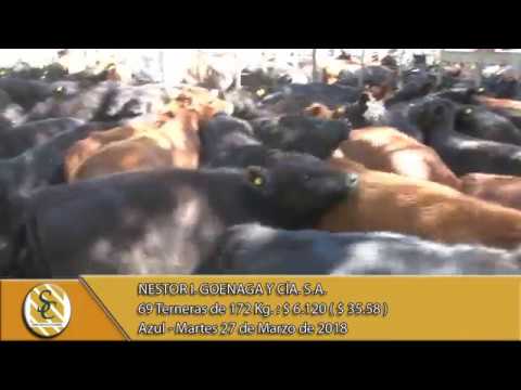 27-03-18 Venta de Hembras - Nestor I. Goenaga & Cia S.A. - Azul