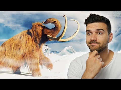 Fel tudjuk támasztani a MAMUTOKAT? - Márkopédia #11