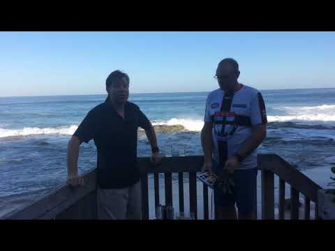 Friday cocktails. Plum & ginger whiskey fizz.