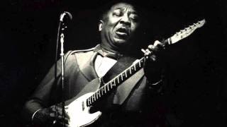 Muddy Waters - The Same Thing [1964]