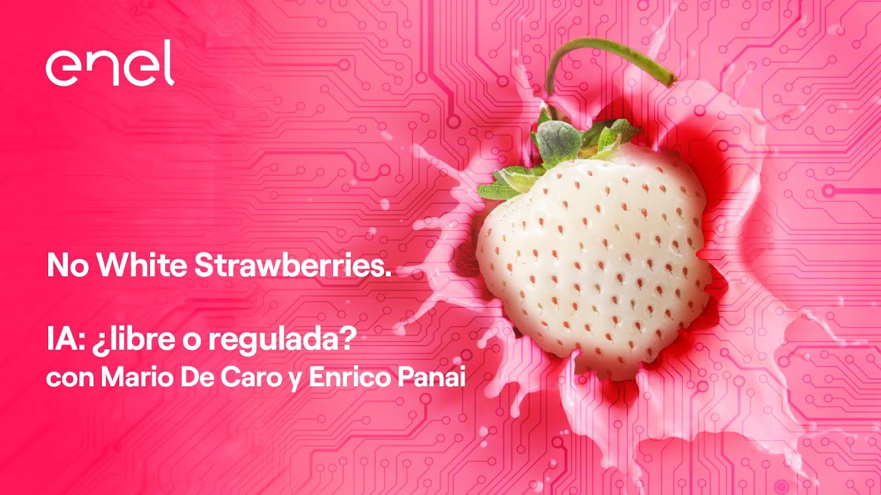 Embed di IA: ¿libre o regulada? (Mario De Caro y Enrico Panai)