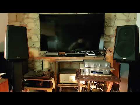 Cheryl Bentyne sings 'Begin the beguine'