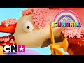 De Wonderlijke Wereld van Gumball | VogelVliegtuigVogel | Cartoon Network