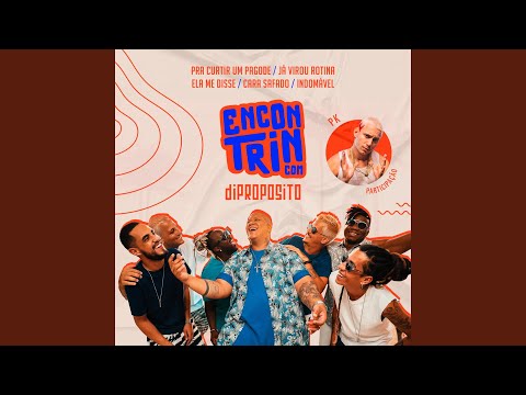 Pra Curtir um Pagode / Já Virou Rotina / Ela Me Disse / Cara Safado / Indomável (Ao Vivo)