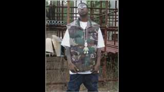 Gucci mane - Big cat la flare