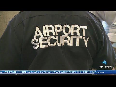 download lagu mp3 mp4 Security Companies In Hawaii, download lagu Security Companies In Hawaii gratis, unduh video klip Security Companies In Hawaii