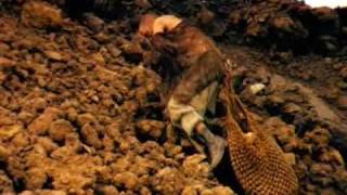 Cathedral &quot;Stained Glass Horizon&quot;