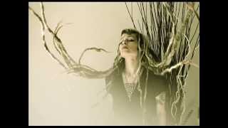 Crisis - Secrets of the prison house