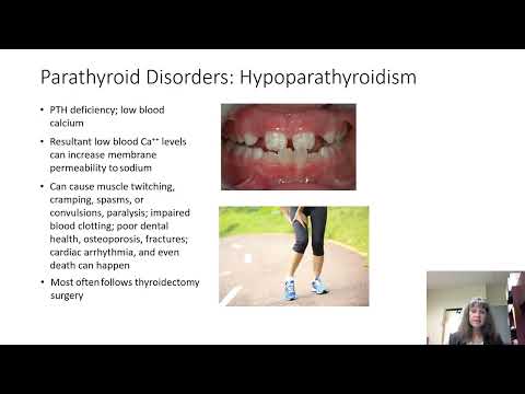 The Endocrine System Part 3 of 3