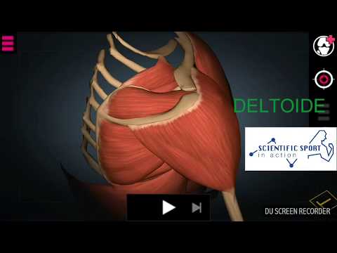 Buona pomata per il mal di schiena e parte bassa della schiena Danza terapia in condrosi toracica e della colonna vertebrale cervicale