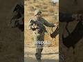 US ARMY ANIMAL PLANET 30 Military Shows Available On Veterantv Com