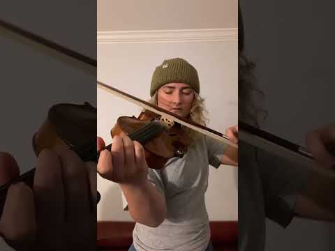 Arabic violin improvisation