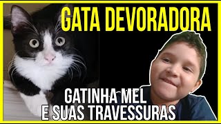 GATA MEL E SUAS TRAVESSURAS