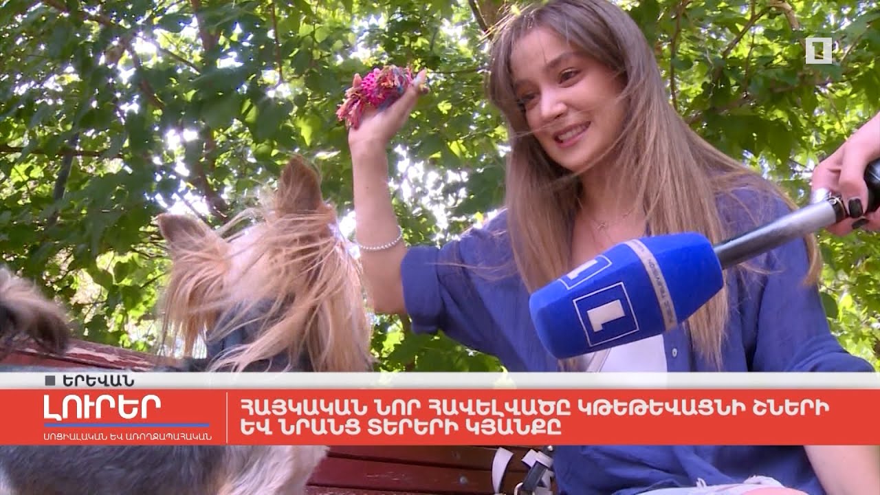 Հայկական նոր հավելվածը կթեթևացնի շների և իրենց տերերի կյանքը