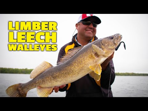 Tony Roach, A New Approach on Walleye Jigging- The Limber Leech
